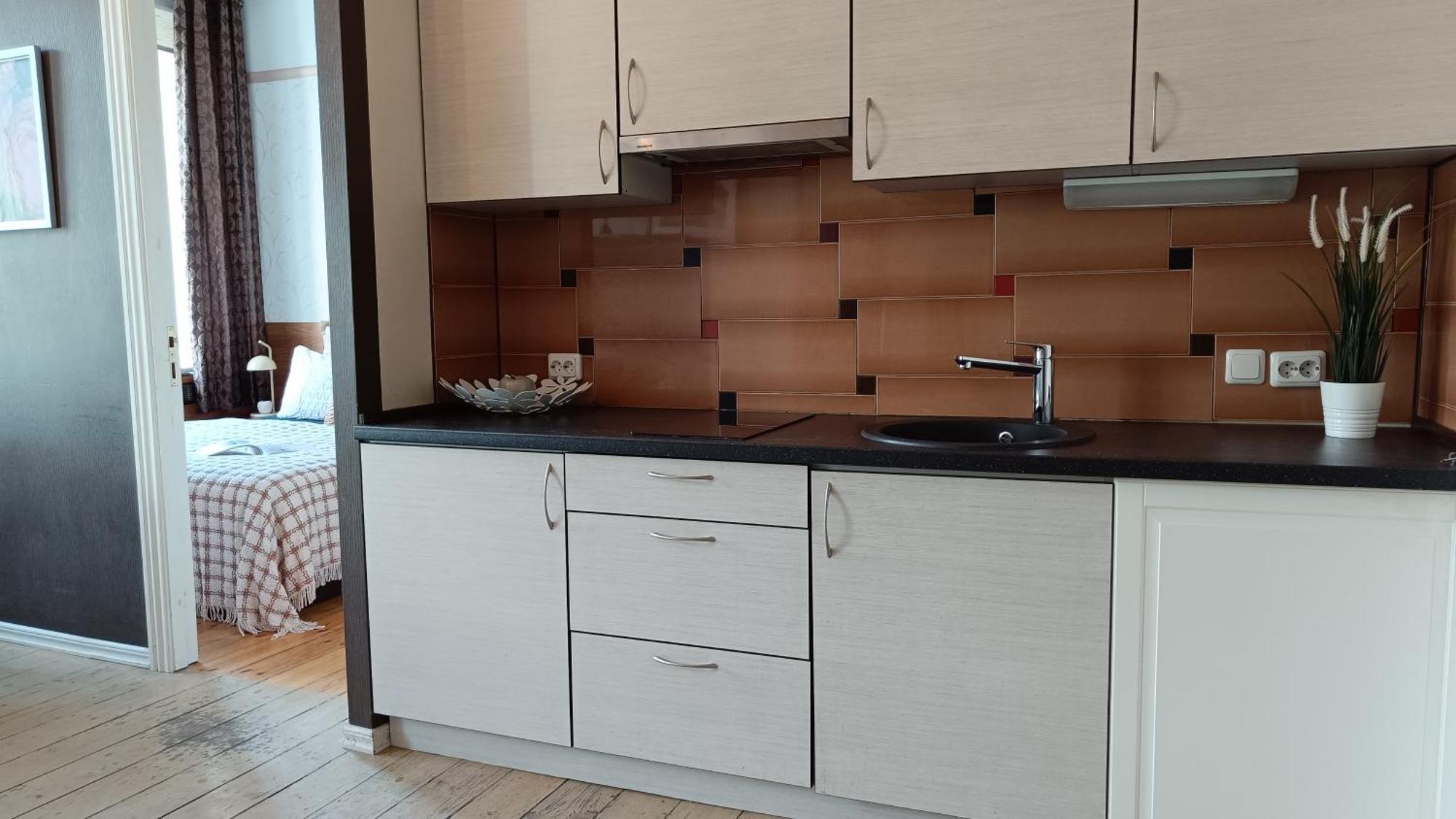 Julia Lacplesa Apartments Ρίγα Εξωτερικό φωτογραφία