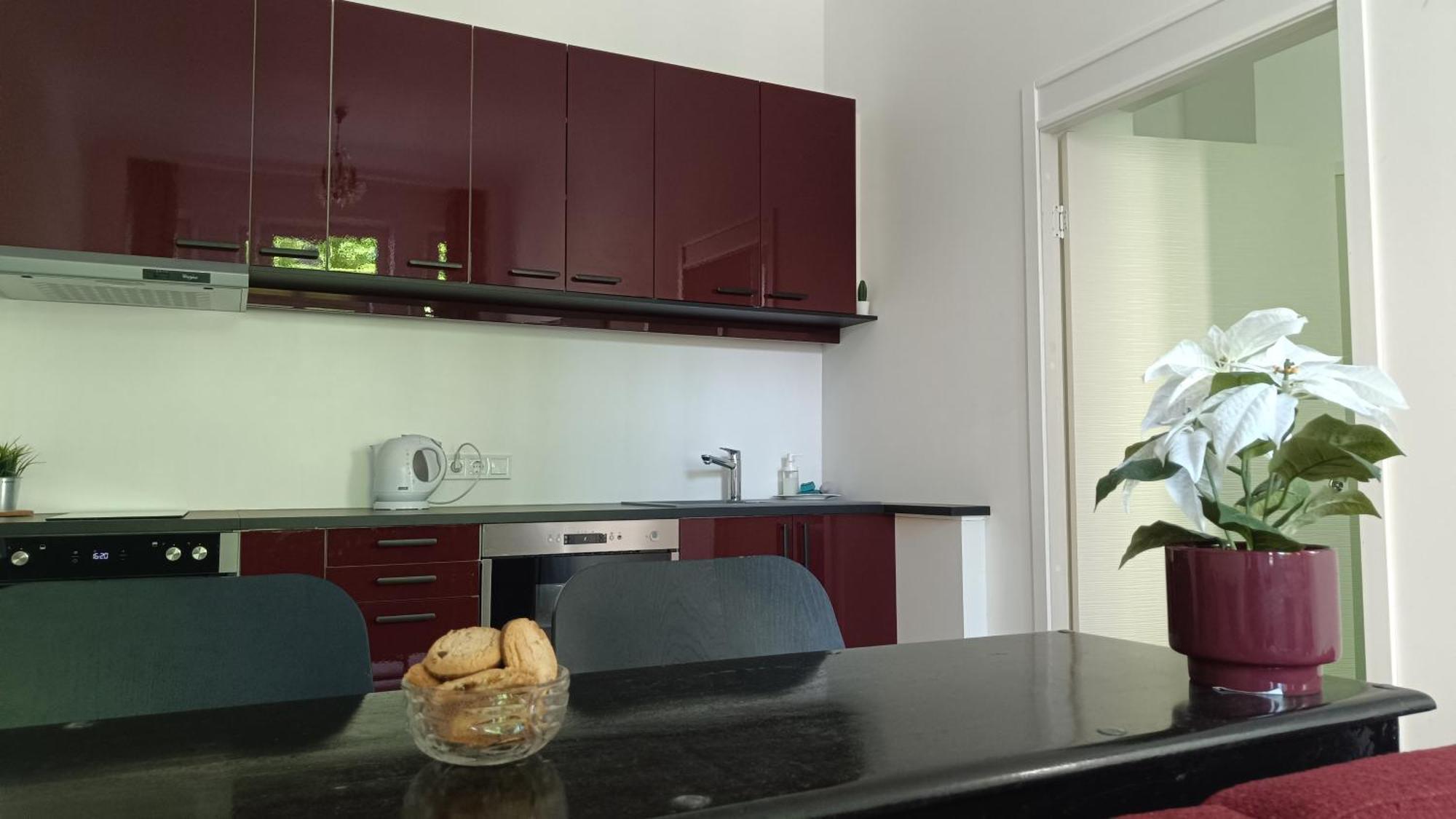 Julia Lacplesa Apartments Ρίγα Εξωτερικό φωτογραφία